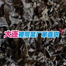 干燥裙带菜