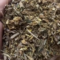 黄芩沫子