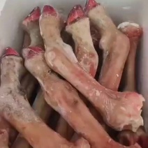 精品马长蹄可切加工可议价货源充足全程冷链运输