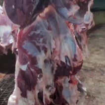无注水鲜牛肉，精修去油去骨，每天现宰