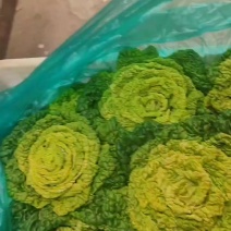 黄心菜，大棚陆地都