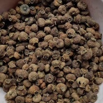 刺梨干果