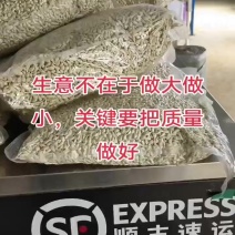 红桔种子