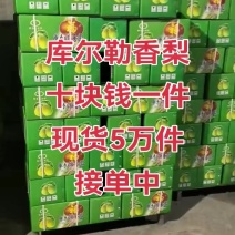 香梨，礼盒香梨大量供应，河北产区大量接单欢迎采购