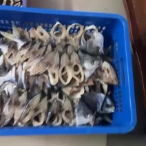 一手货源，目前有五十多吨金鲳鱼干