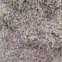 一级花生秧中草