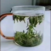 毛尖茶徐小凤的茶紫阳富硒茶园直供，手工采摘制作，海拔高