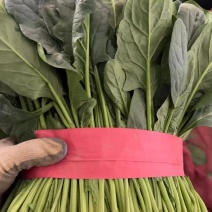 好菠菜