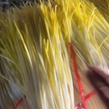 大掉价，棚头现割，质优价廉适合各大市场电商平台