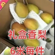 库尔勒香梨礼盒香梨现货供应保质保量产地直供一手货源