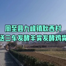 甘肃环县发酵羊粪