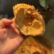 黄油蟹，声称一千只蟹中*多就几只整只里面都是爆黄油