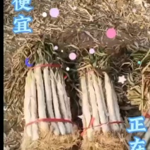 春节降临大葱抢购