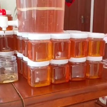天然蜜蜂蜂蜜，优质全国发货，量大从优，欢迎咨询