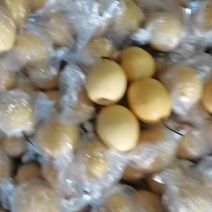 小蜜梨正在走货中。质量好金黄色汁水多核特小。产地直销河北