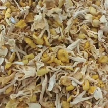 鸡油菌新货开始供货