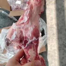 肥猪前腿骨20吨