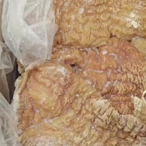 牛碗口纯碗口不带尿泡和子肠干净