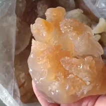 印尼头（特大、特价）嘎嘣脆
