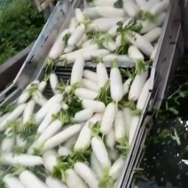 大量上市
