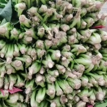 聊城东昌府区产地菠菜大量上市支持超市，电商，学校食堂