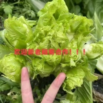 儿菜