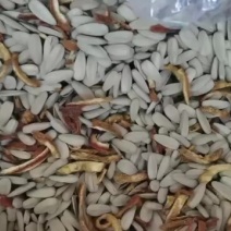 水脱瓜子陈皮瓜子
