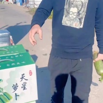 沙窝萝卜