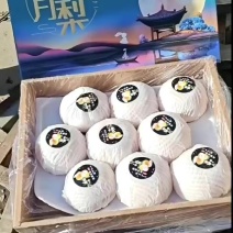 高品质礼盒秋月梨，超市，批发，市场。欢迎客商联系