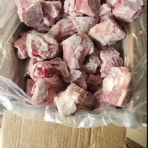 多肉腿骨块