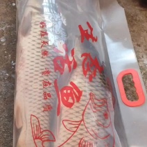 活鱼打氧包