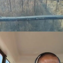 东北长粒香。稻花香。自产自销