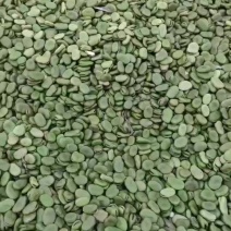 蚕豆优等品粒大饱满品质保证量大从优一手货源欢迎咨询