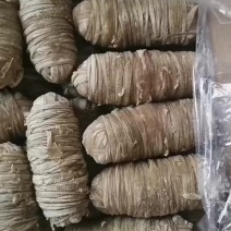 苦肠卷​​腾惠更多客户的选择全国接单