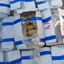 黄皮黄芯荷兰土豆