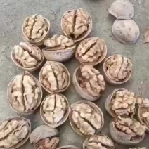 新疆阿克苏的纸皮核桃核桃需要跟我联9