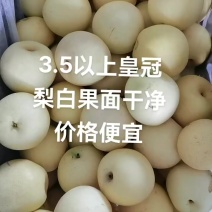 4-5两皇冠梨非常漂亮