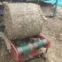 安徽阜阳黄储饲料，量大从优欢迎选购