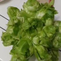 儿菜
