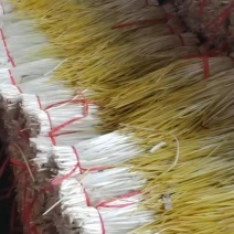 精品蒜黄大量有货
