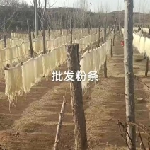 批发红薯粉条