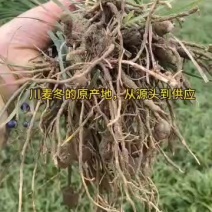 马上开挖了，开挖后价格实时更新想欢迎各位老板前来选购