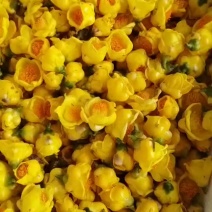 金花茶花