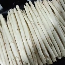 【精品】芦笋白芦笋装箱发货品质保证产地直销量大质优