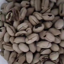 电商用碧根果牙果黑金碧根果一件代发