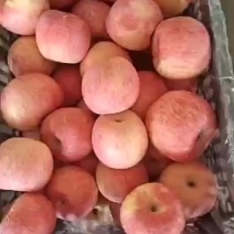 红富士苹果
