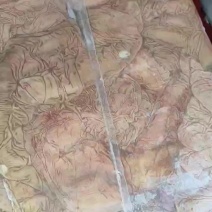 驴板肠