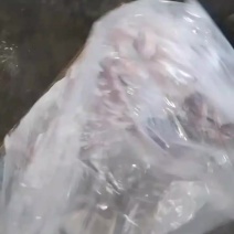 屠宰场直供新鲜一级冻猪腰