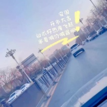 白术种子