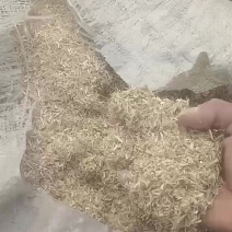 花生秧草粉饲料原料
